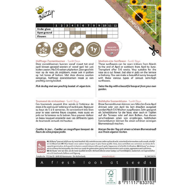 Sunlit Days, halfhoge zonnebloemen