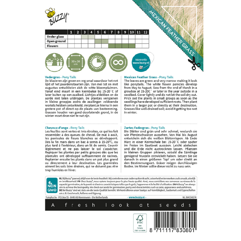 Grasses, Stipa, Vedergras Pony Tails