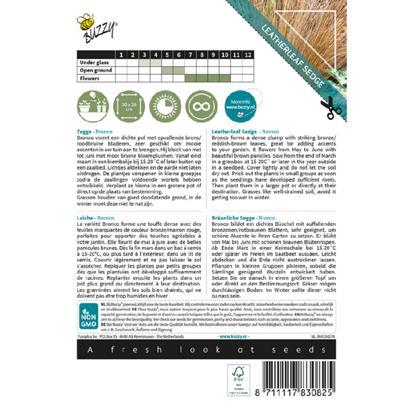 Grasses, Zegge Bronco