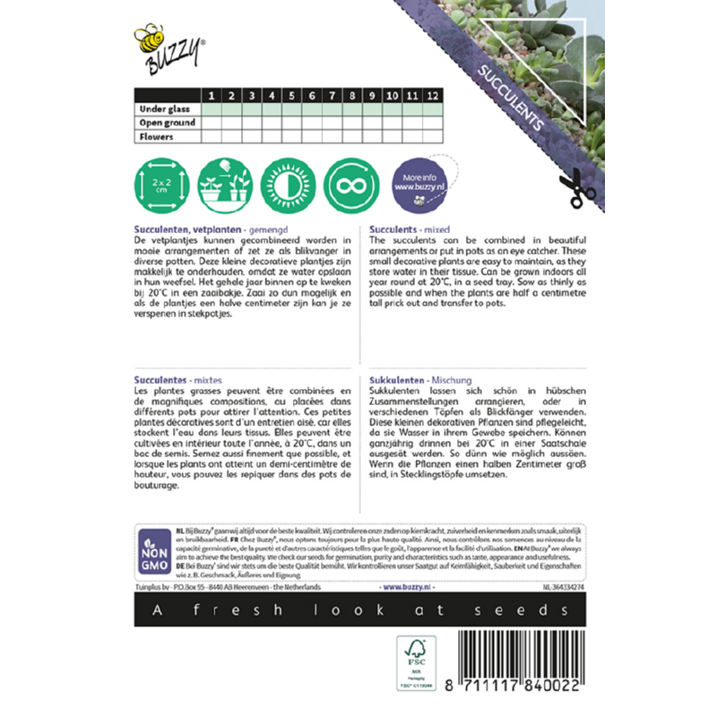 Kamerplant Mixed Succulents, vetplanten