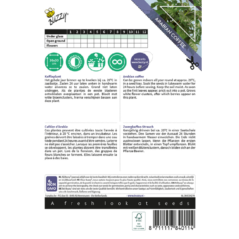 Kamerplant Coffea Arabica, Koffieplant