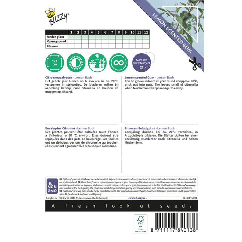 Kamerplant Eucalypthus, Lemon Bush