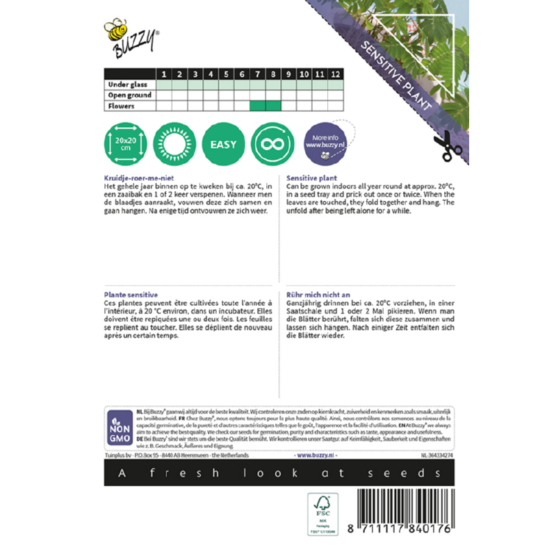 Kamerplant Mimosa pudica, Kruidje roer me niet