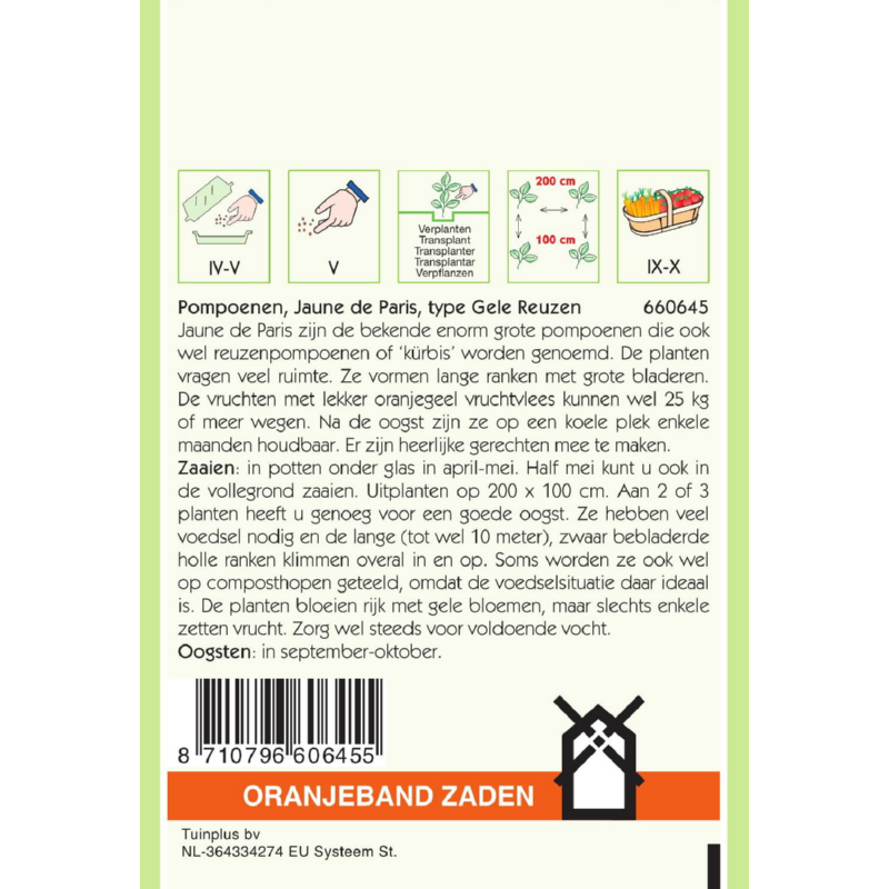 Pompoen Jaune De Paris