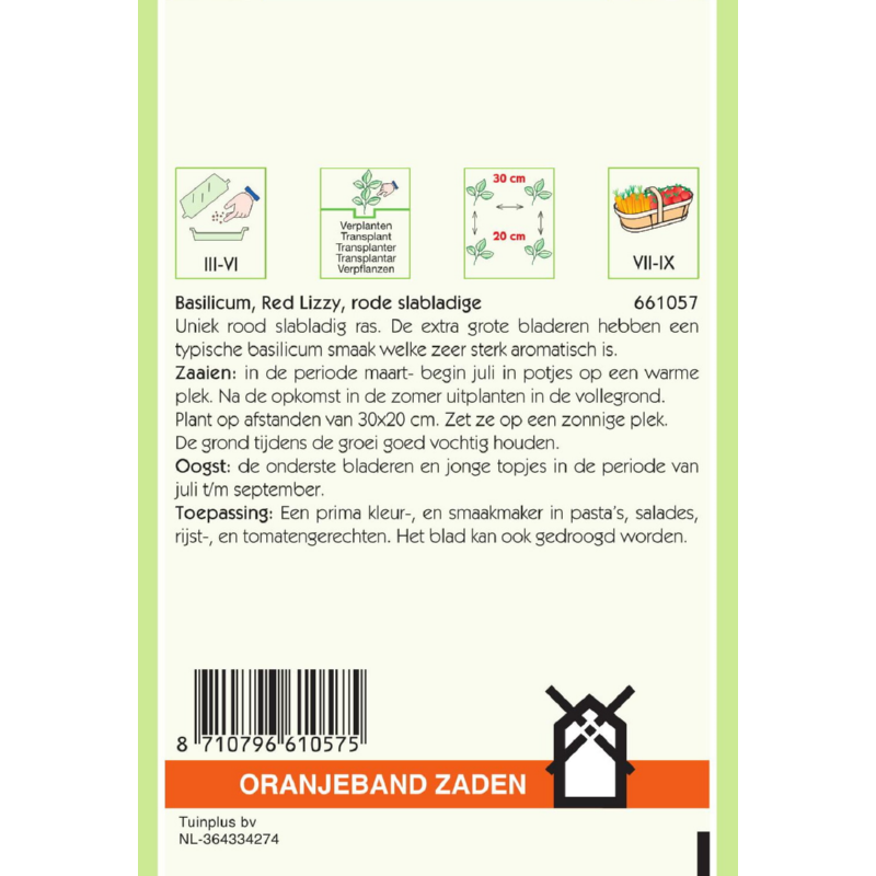 Basilicum Rode slabladige Red Lizzy