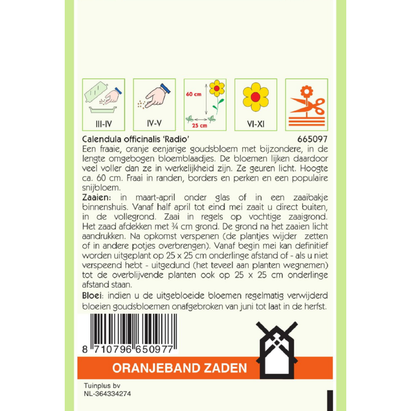 Calendula, Goudsbloem Radio