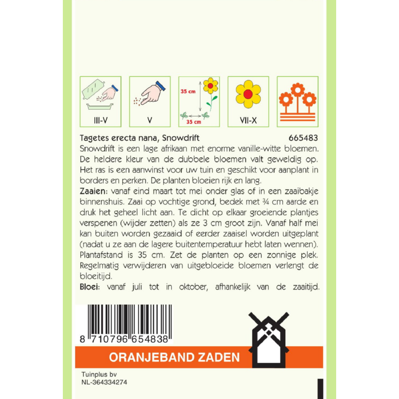 Tagetes, Afrikaan Snowdrift