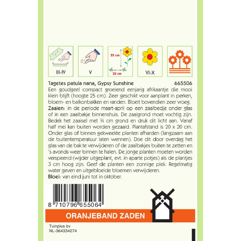 Tagetes, Afrikaan Gypsy Sunshine