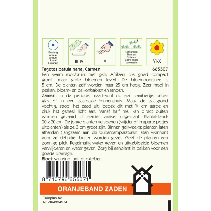 Tagetes, Afrikaan Carmen