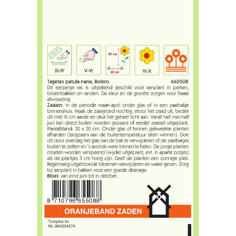 Tagetes, Afrikaan Bolero, voorheen Queen Sophia