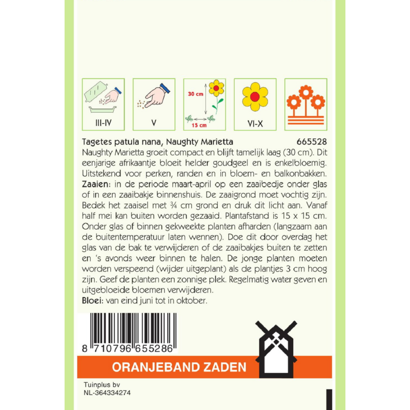 Tagetes, Afrikaan Naughty Marietta