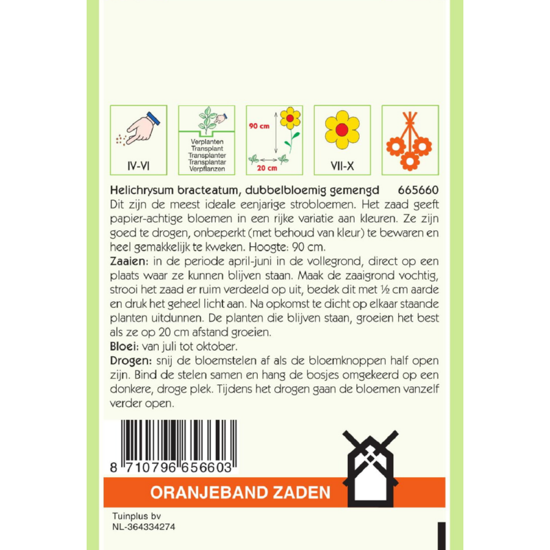 Helichrysum, Strobloem dubbelbloemig gemengd