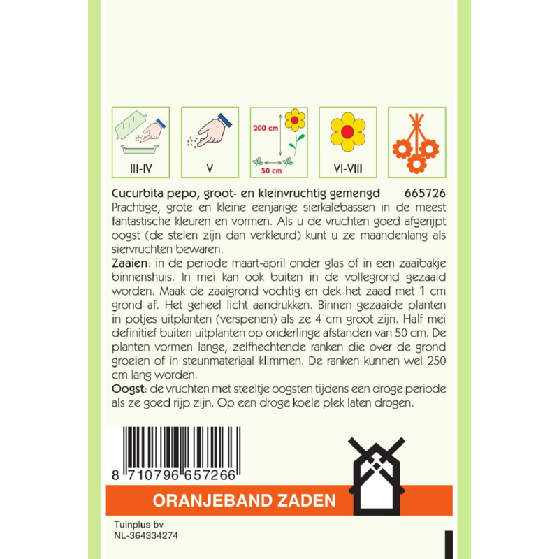 Cucurbita, Sierkalebas groot- en kleinvruchtig gemengd