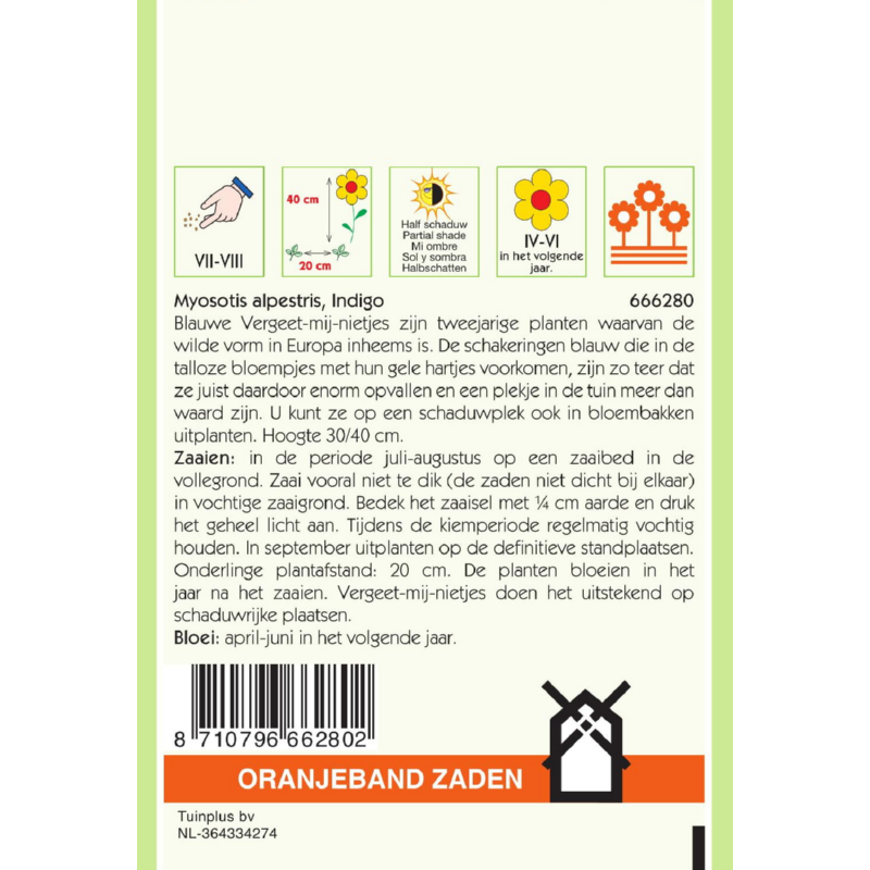 Myosotis, Vergeet-mij-niet Indigo, blauw