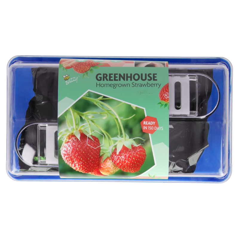 Buzzy® Greenhouse Homegrown Aardbei