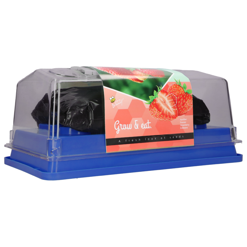 Buzzy® Greenhouse Homegrown Aardbei