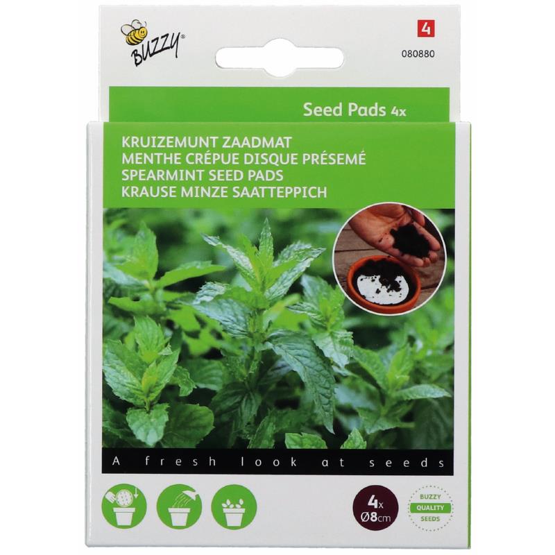 Seedpads Kruizemunt, 4 ronde pads