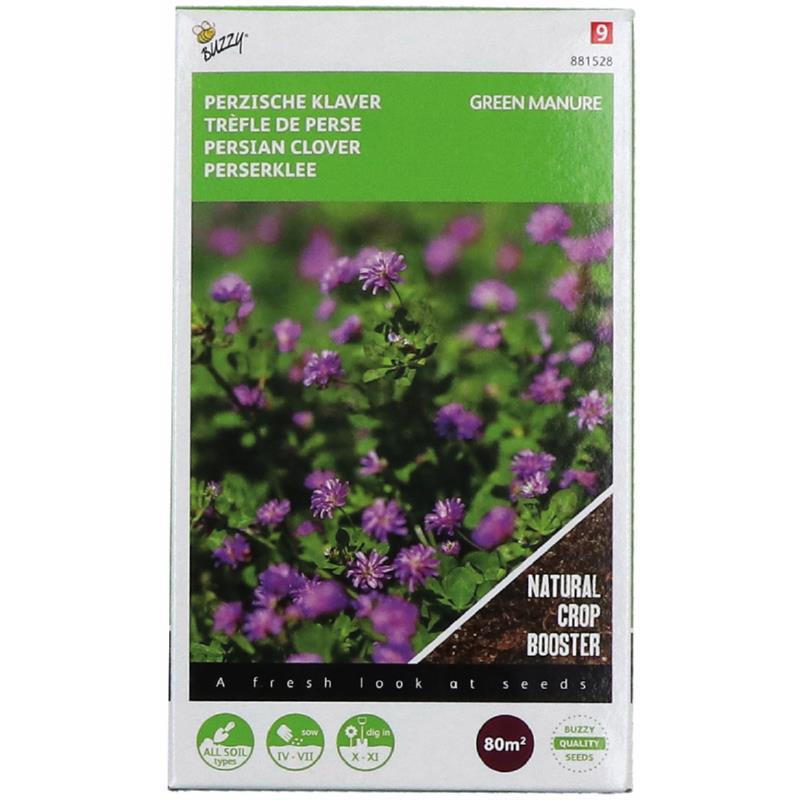 Groenbemester Perzische klaver