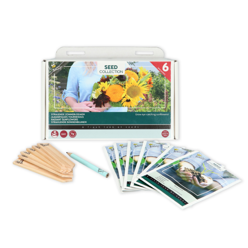 Collection 6 Zonnebloemen