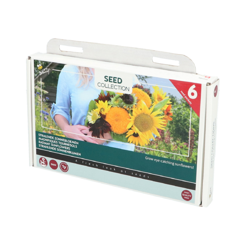 Collection 6 Zonnebloemen