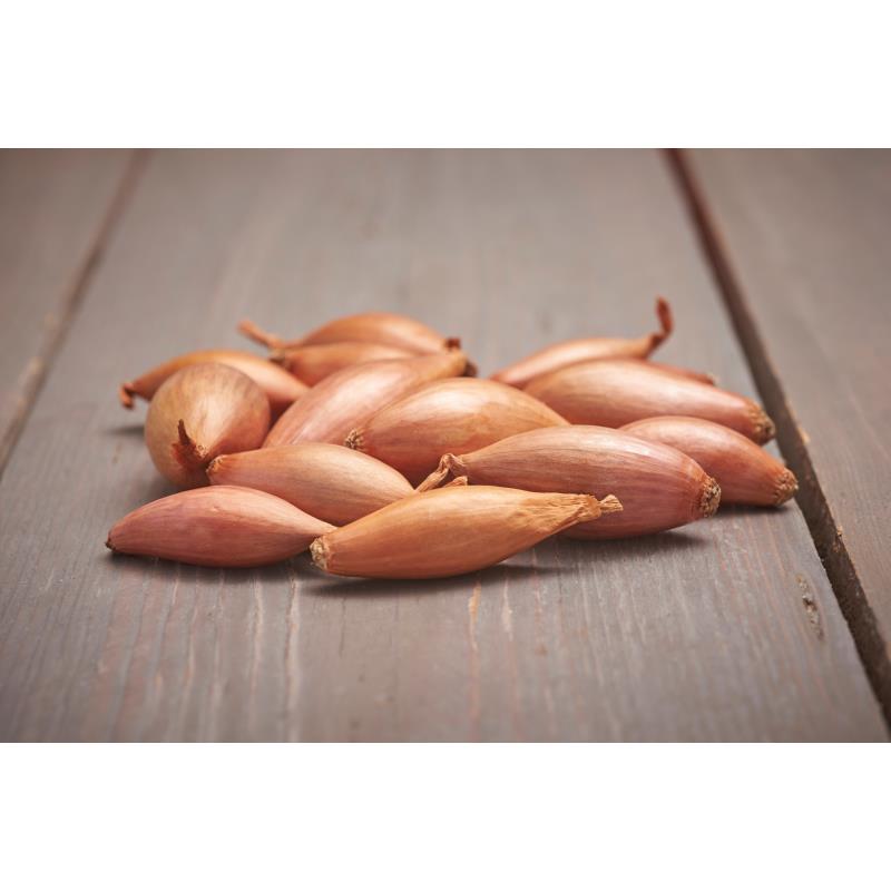 Plantsjalotten Longor, 500g Kippenbil of Cuisse de Poulet