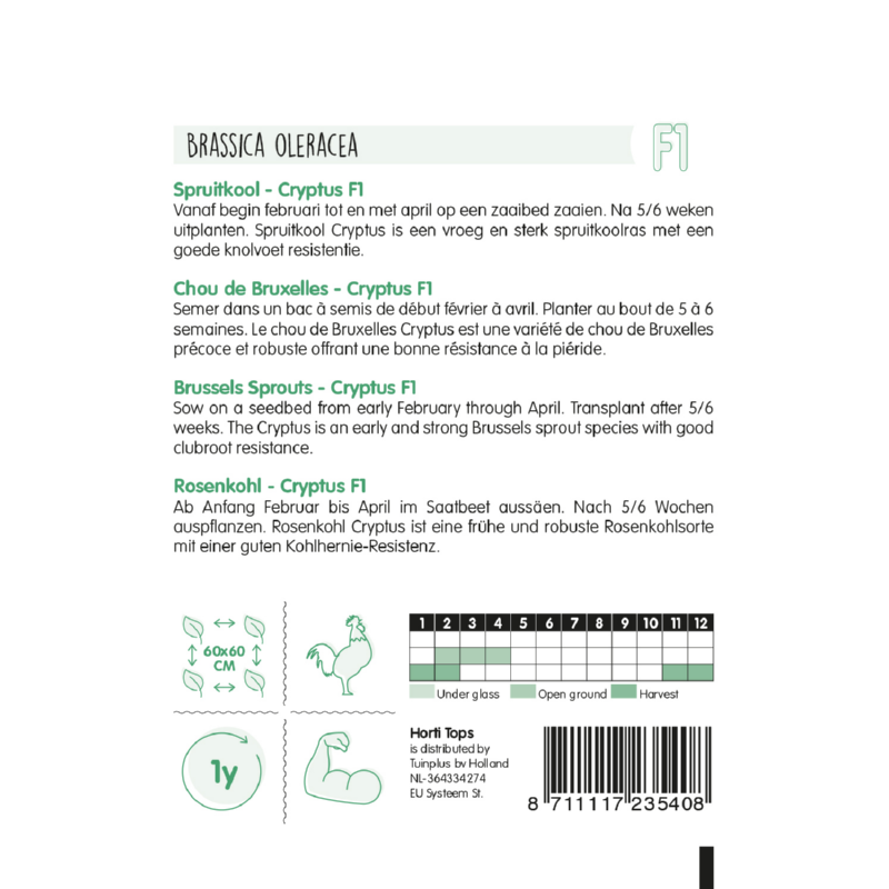 Spruitkool Crispus F1