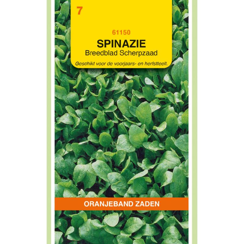 Spinazie Breedblad Scherpzaad. 250 gram