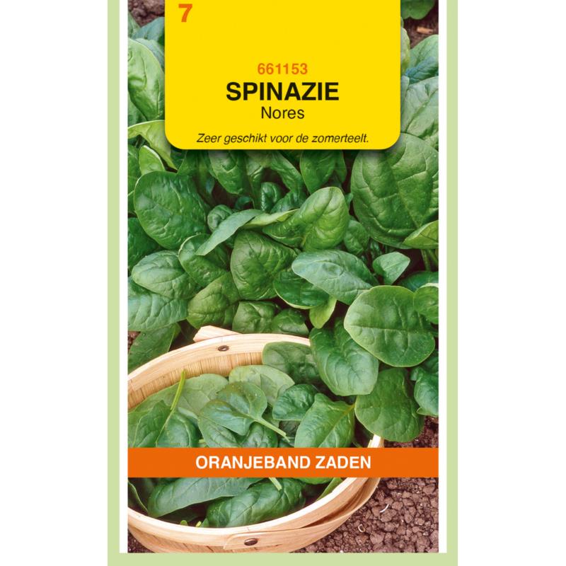 Spinazie Nores, 250  gram