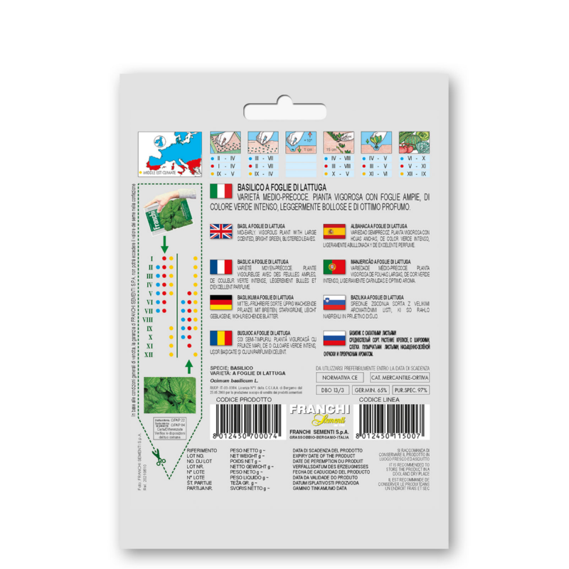 Basilicum, Basilico Foglie Di Lattuga