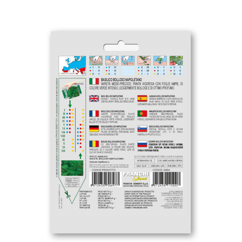 Basilicum, Basilico Bolloso Napoletano