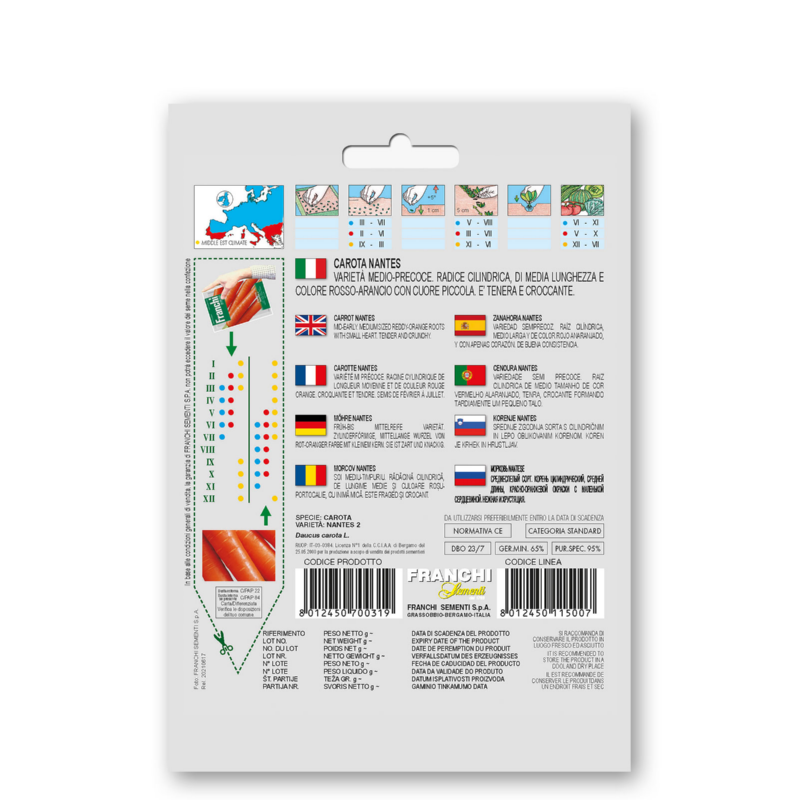 Wortel, Carota Nantes 2