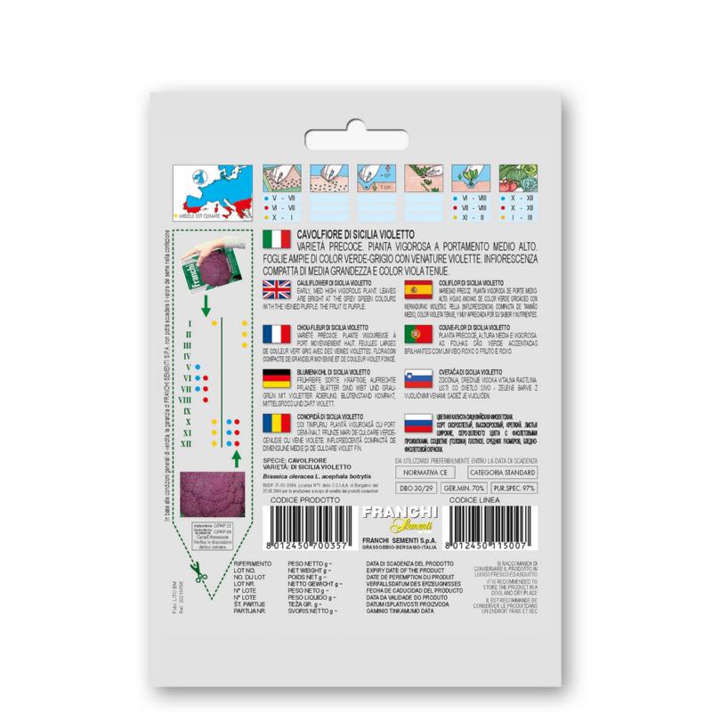 Bloemkool, Cavolfiore Sicilia Violetto