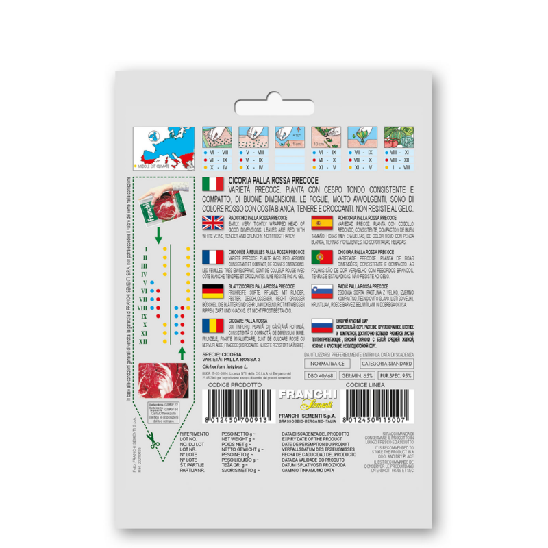 Roodlof, Cicoria Palla Rossa Precoce