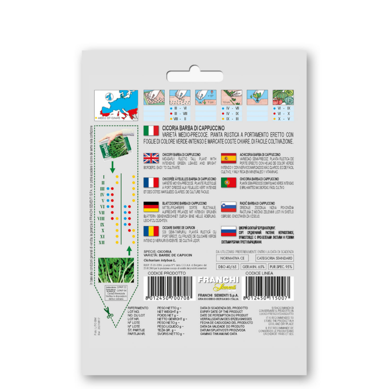 Lof, Cichorei, Cicoria Barba di cappuccino