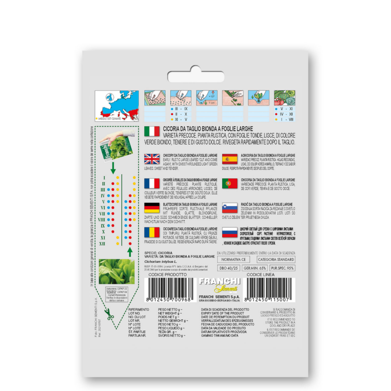 Cichorei, Cicoria Bonda foglie larghe