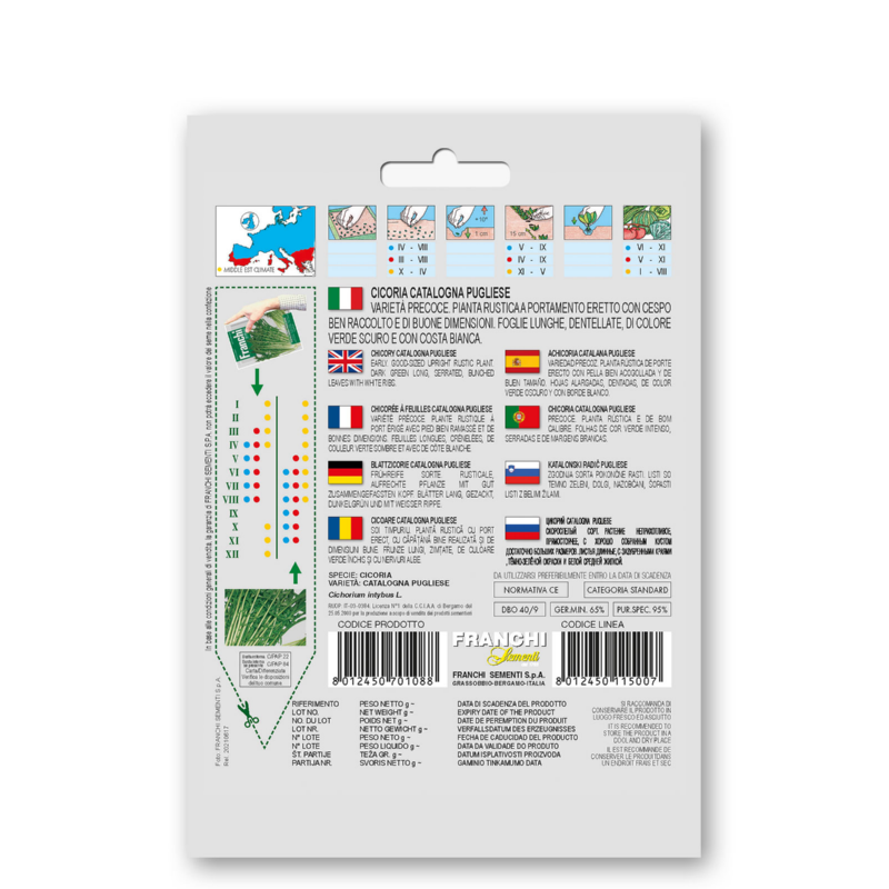 Cichorei, Cicoria Catalogna Pugliese