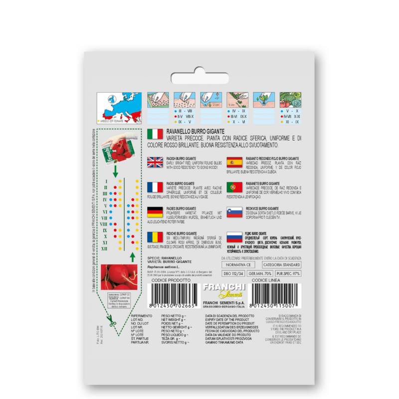 Radijs, Ravanello Rosso Gigante