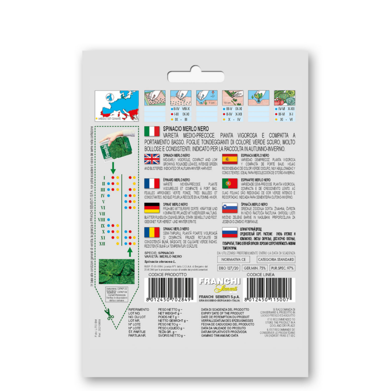 Spinazie, Spinacio Merlo Nero