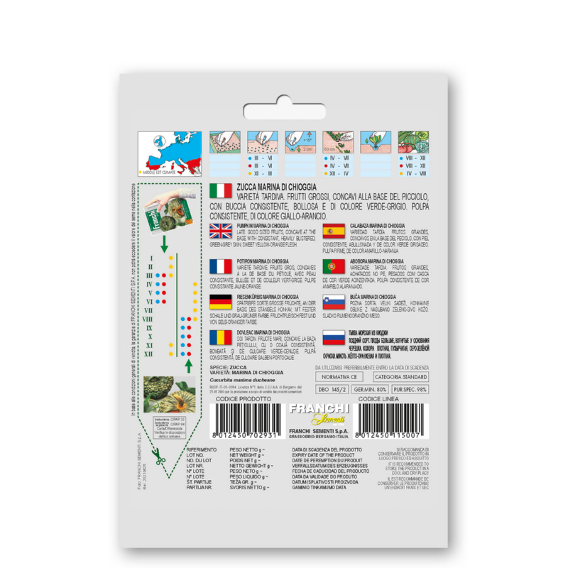 Pompoen Zucca marina di Chioggia