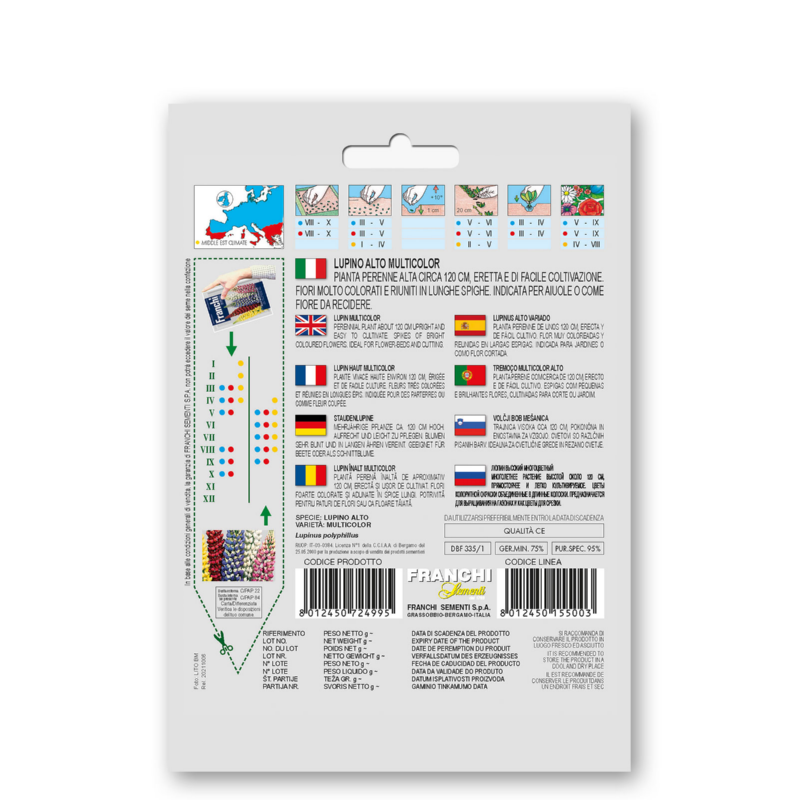 Lupine, Lupino Alto Multicolor