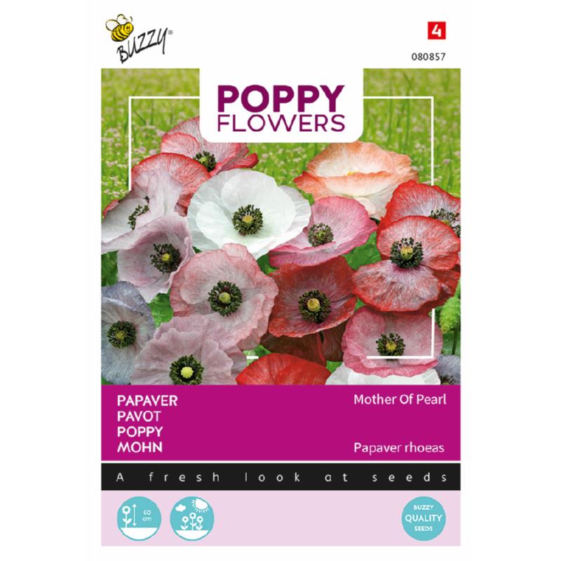 Poppy Flowers, Papaver Mother Of Pearl