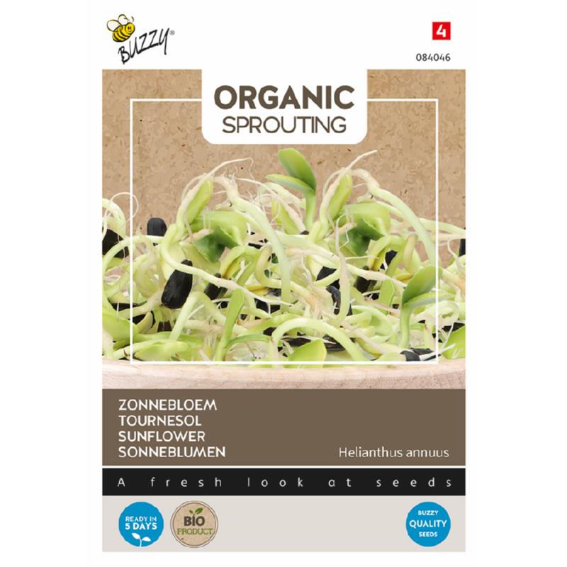 Organic Sprouting Zonnebloem