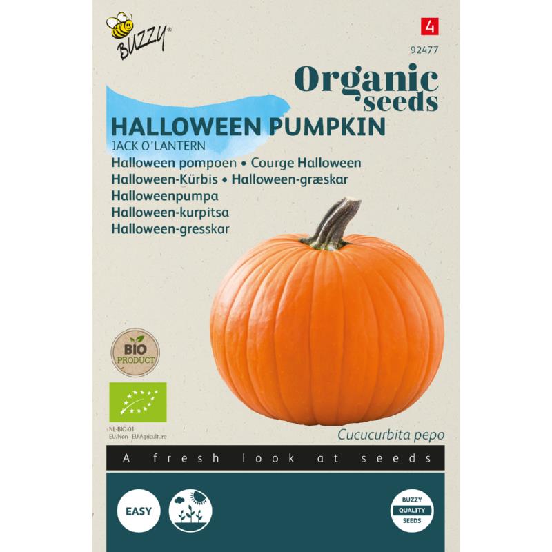 Biologische Halloween pompoen Jack O’lantern