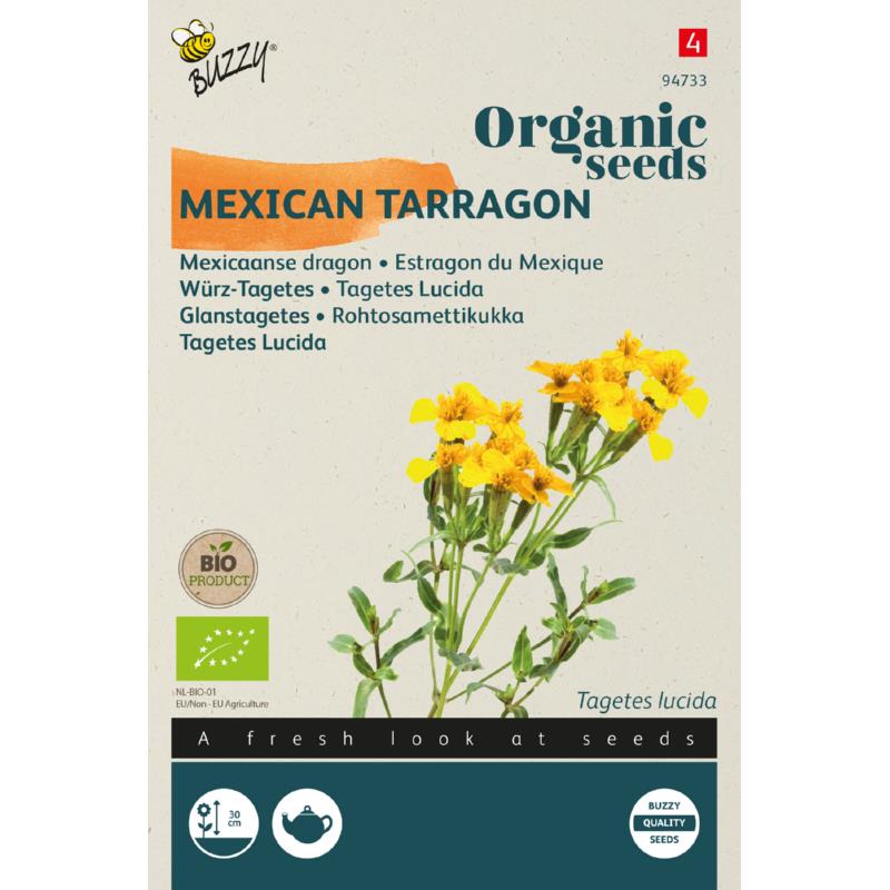 Biologische Tagetes Lucida, Mexicaanse dragon