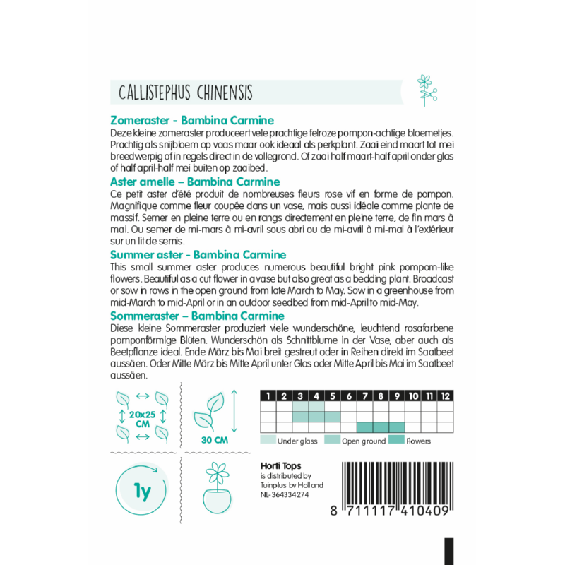 Callistephus, Zomeraster Bambina Carmine