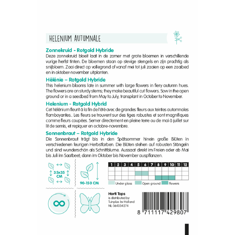 Helenium, Zonnekruid Rotgold Hybride