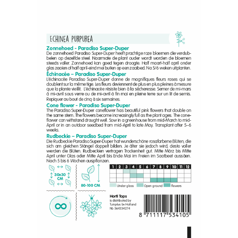 Echinacea, Zonnehoed Paradiso Super-Duper