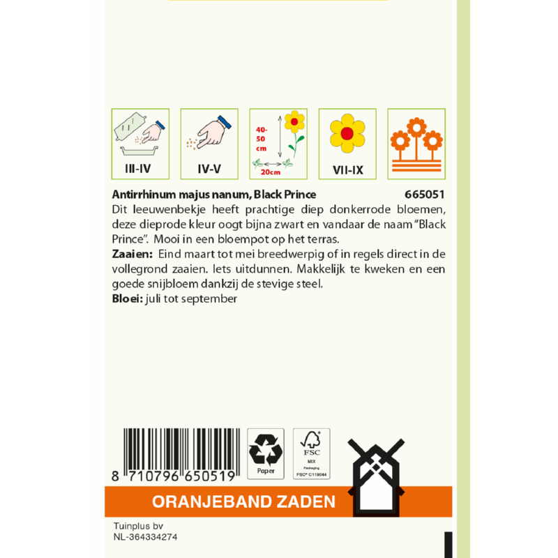 Antirrhinum, Leeuwenbekje Black Prince