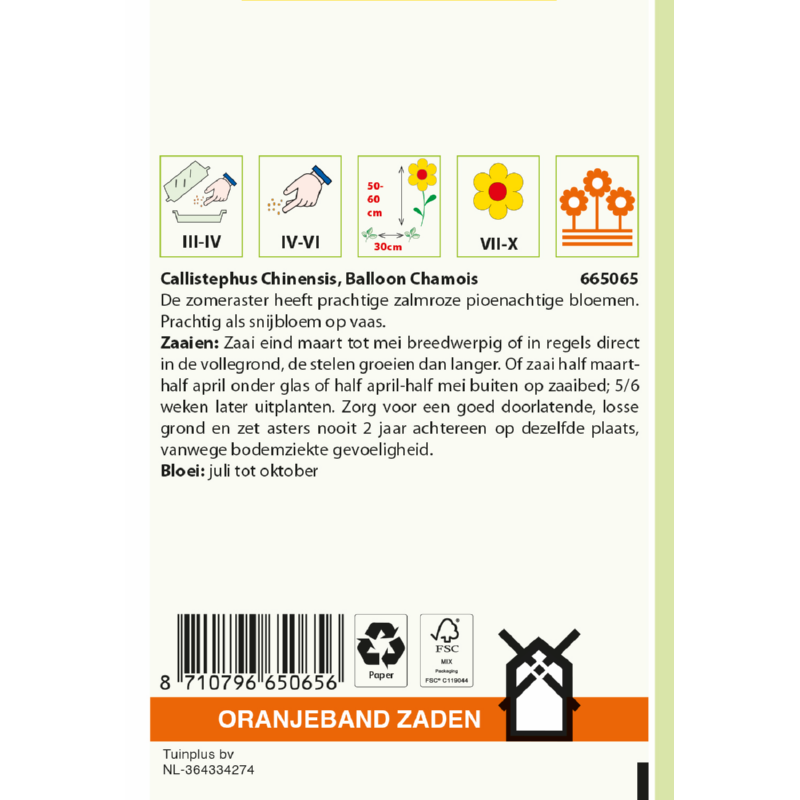 Callistephus, Aster Balloon Chamois