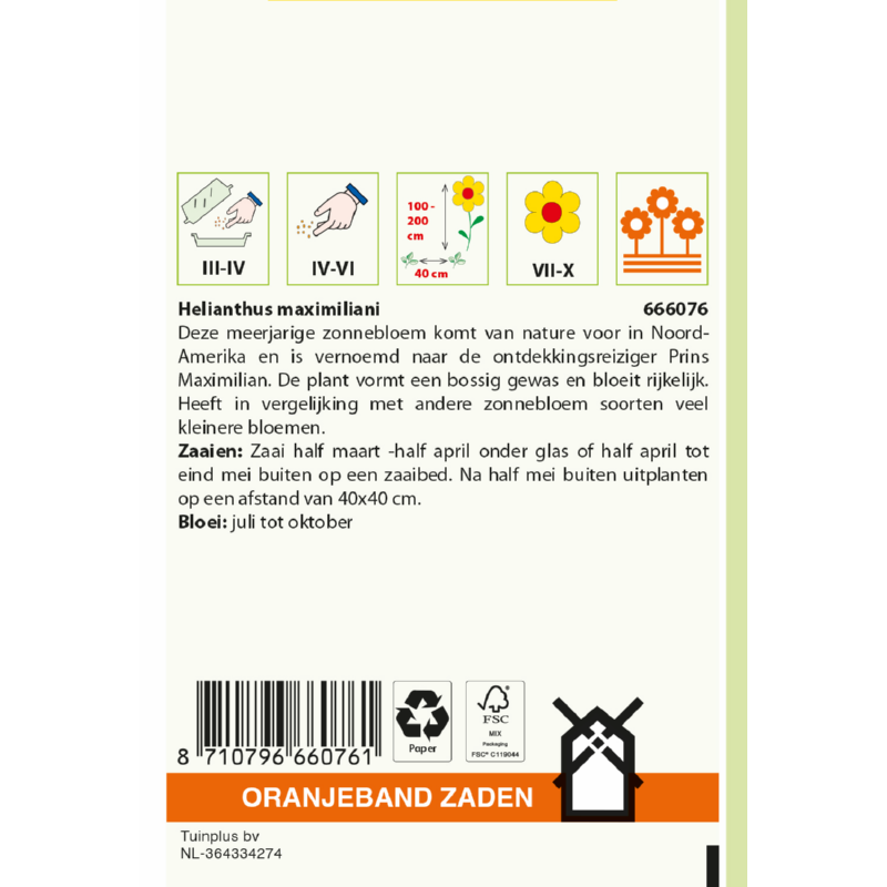 Helianthus, Zonnebloem Maximilian